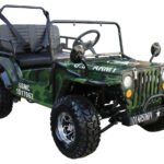 125ccJeeppic1.jpg