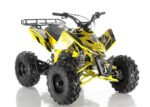 AP125ATV-Sniper-6T.jpg