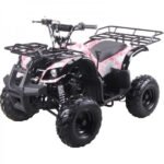 ATV-3125R-AP-3-600x600-1.jpg ATV-3125R-AP-3-600x600-1.jpg