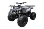 ATV-3125XR8-U_AE_c1342128-aa1e-4c82-9428-ba098a81504a.jpg ATV-3125XR8-U_AE_c1342128-aa1e-4c82-9428-ba098a81504a.jpg