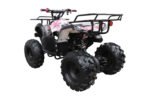 ATV-3125XR8-U_AP.jpg ATV-3125XR8-U_AP.jpg