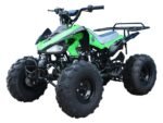 Cheetah-Green1200.jpg Cheetah-Green1200.jpg