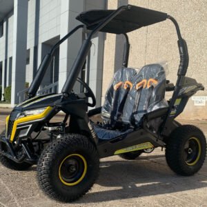 Cheetah6004.jpg