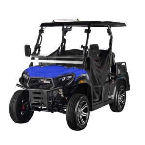 Aodes Trailcross Deluxe Electric Golf Cart - Street Legal