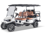 F6-182A8147_Whit-Tan.png F6-182A8147_Whit-Tan.png