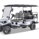F6-182A8147_silver-Gray.png