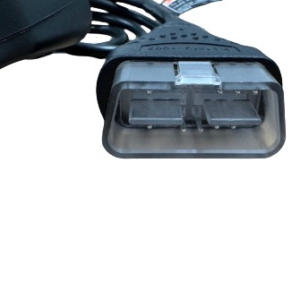 IMG_2022.png