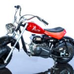 IMG_9491.jpg