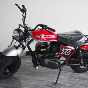 MiniBikeHurricane200X006.jpg