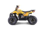 Mudhawk6_driverside_yellow.jpg