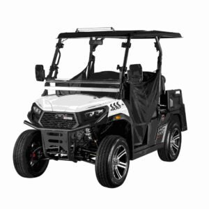 Aodes Trailcross 400 EFI Golf Cart