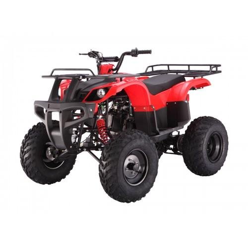 bULL150.jpg bULL150.jpg