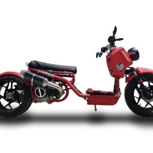 pmz50-22maneonred_83447.jpg